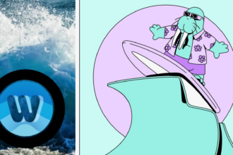 wave
