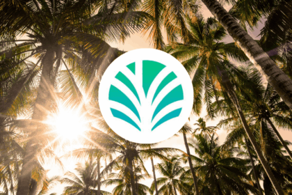 PALM coin