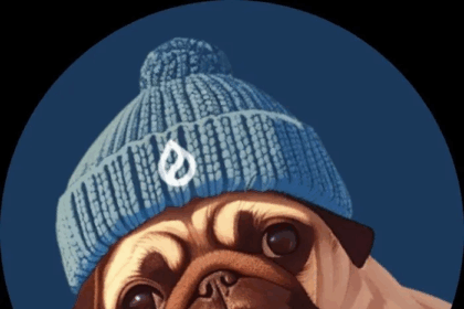 PUGWIFHAT